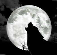 kingwolf